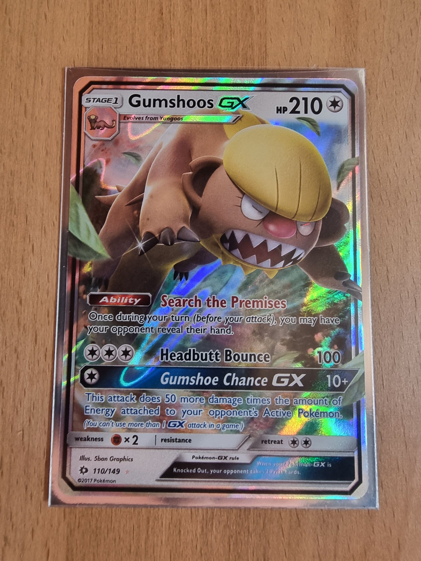 Gumshoos GX 110/149 EN