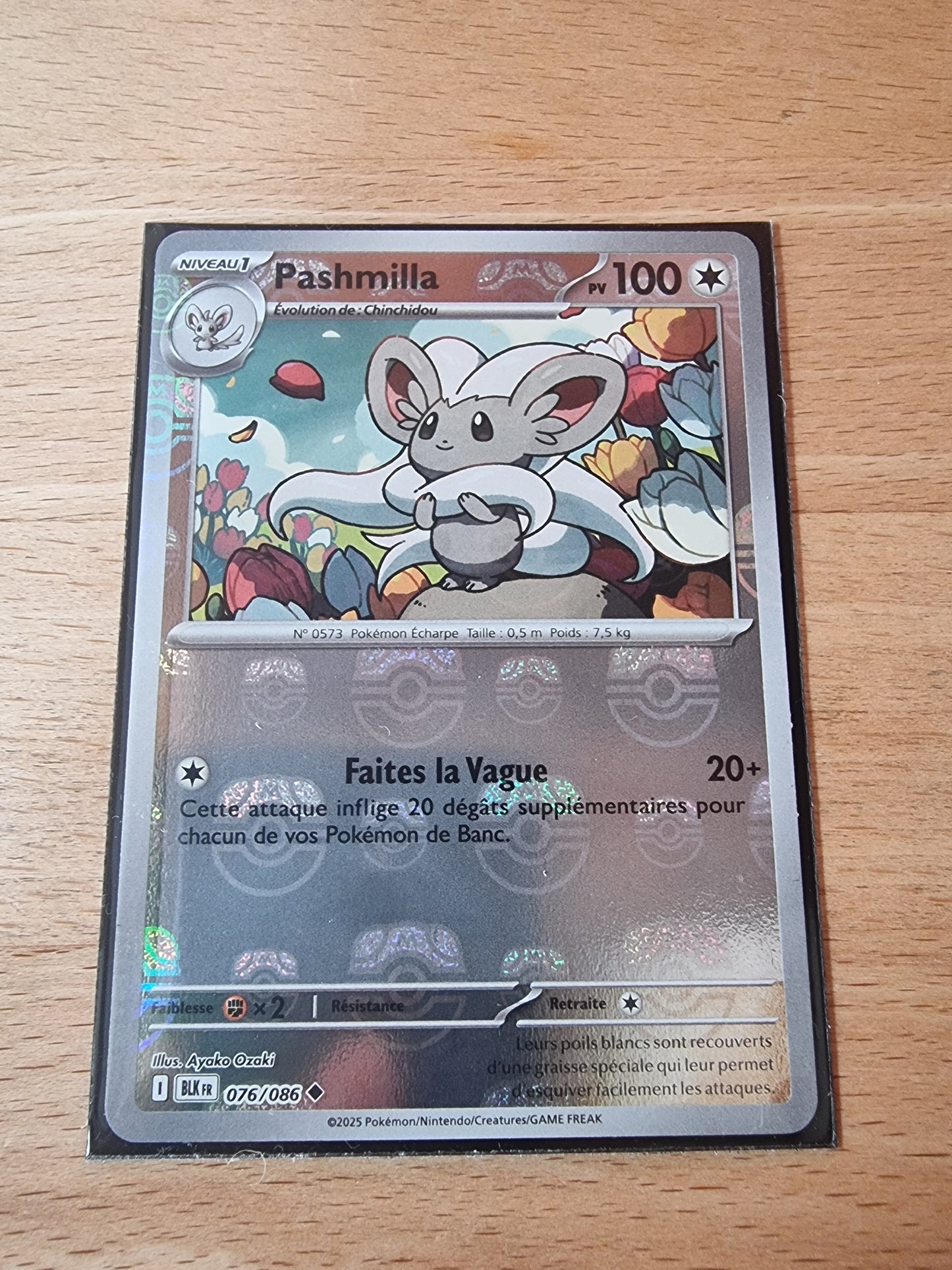 Pashmilla 076/086 MASTER BALL (Foudre Noire) FR