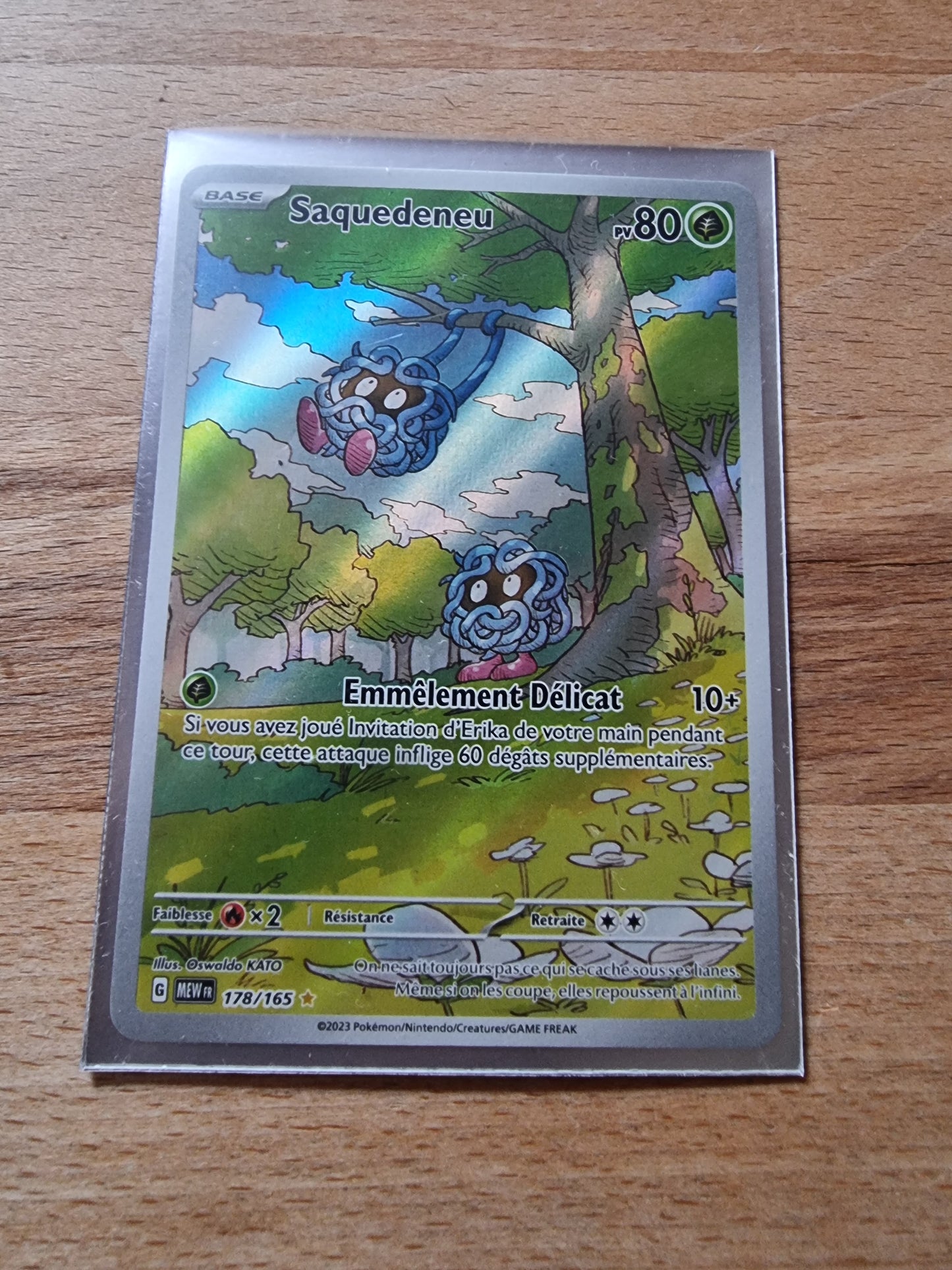 Saquedeneu 178/165 FR