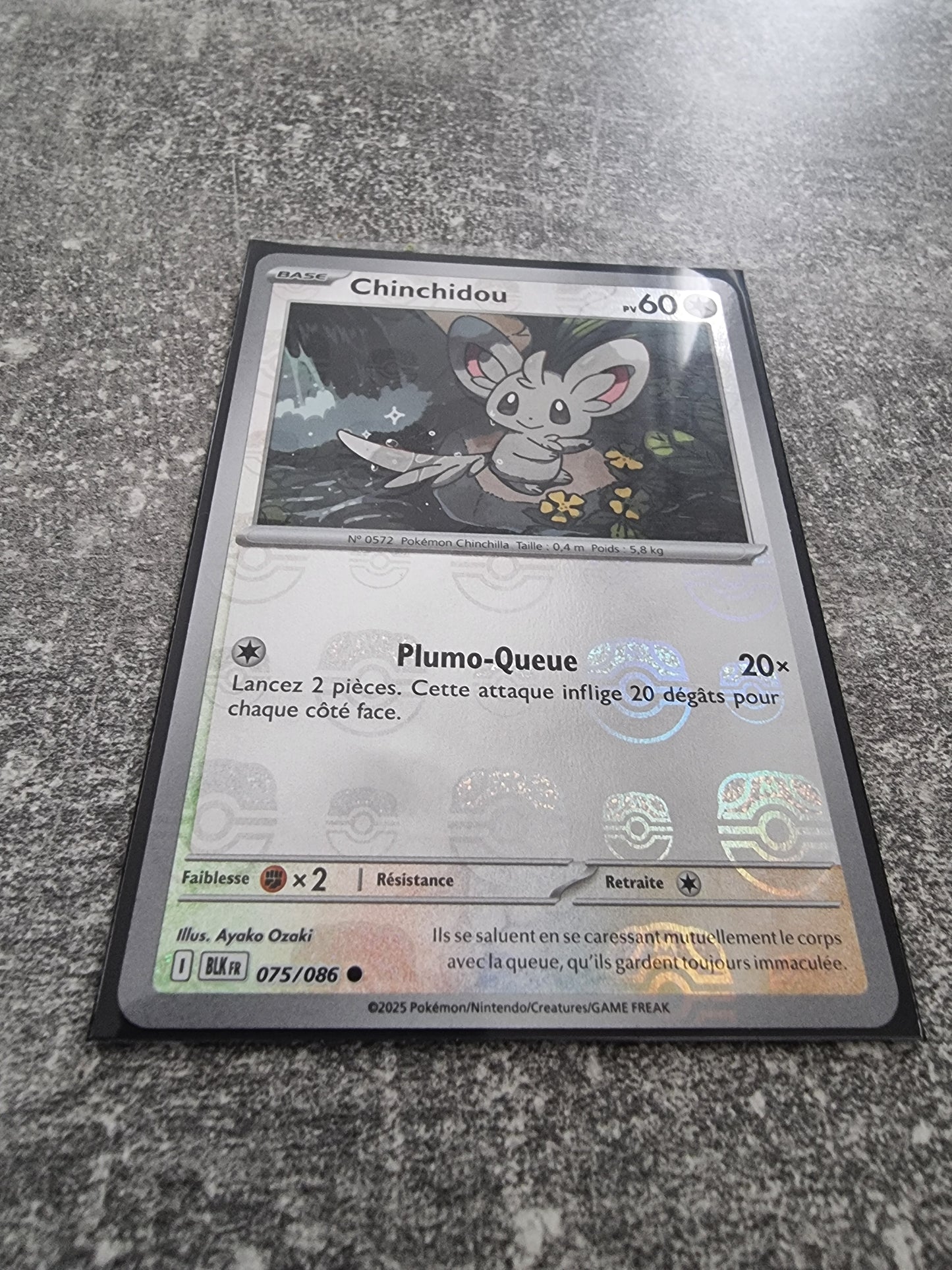 Chinchidou 075/086 Masterball (Foudre Noire) FR