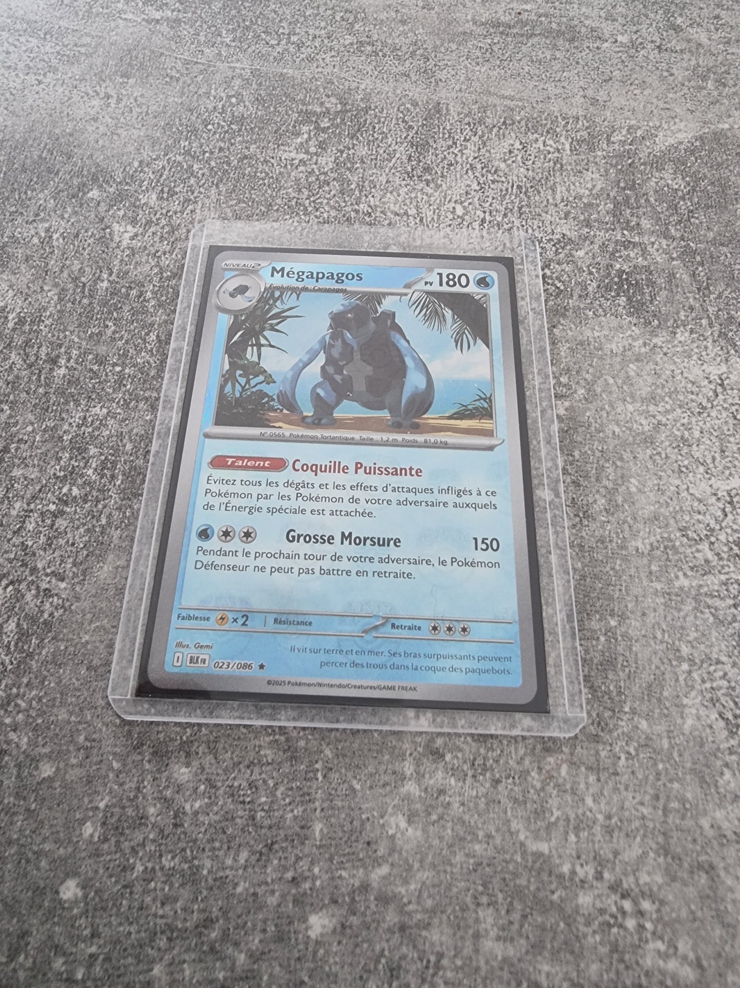 Mégapagos 023/086 Masterball (Foudre Noire) FR