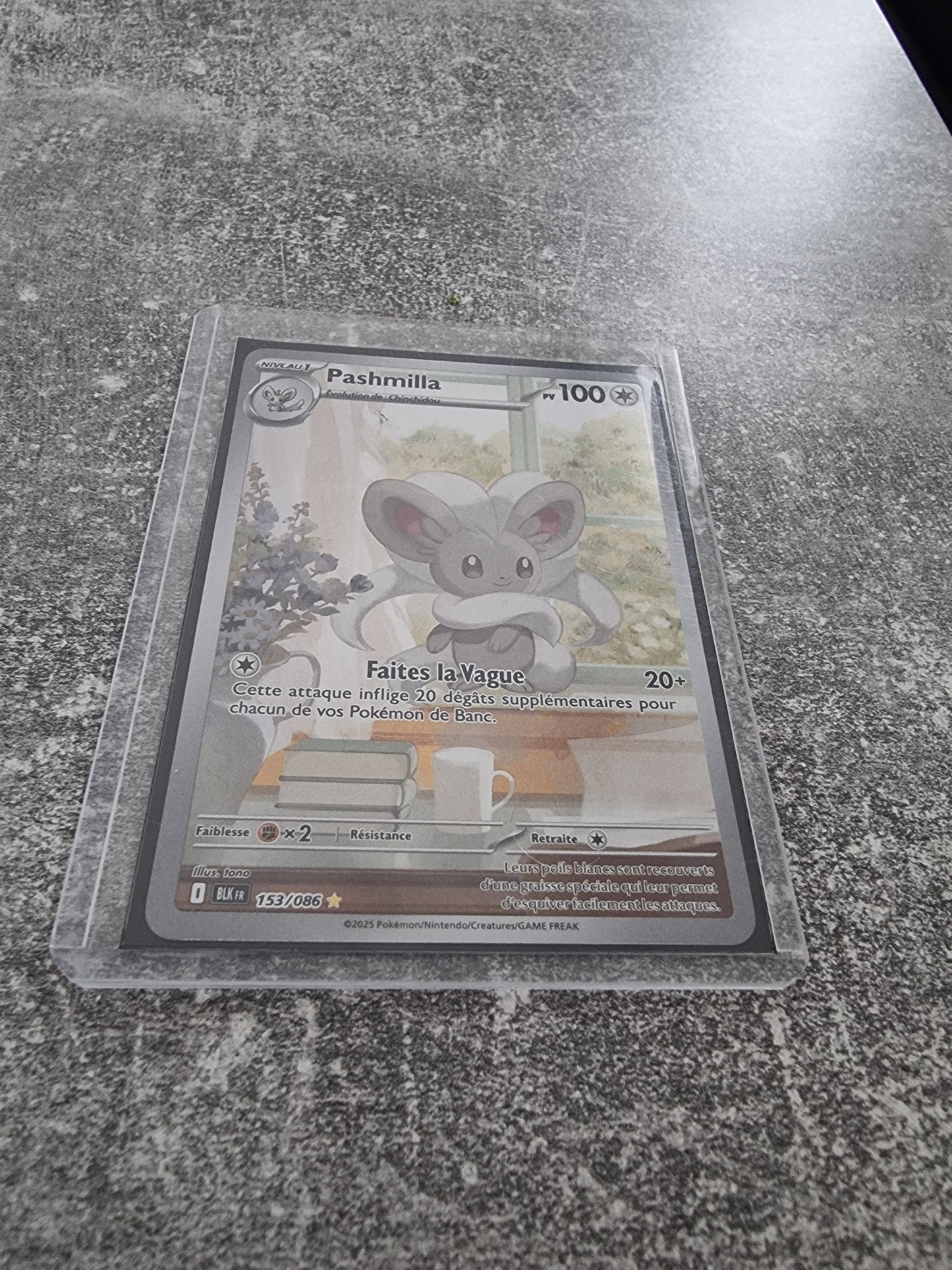 Pashmilla 153/086 (Foudre Noire) FR