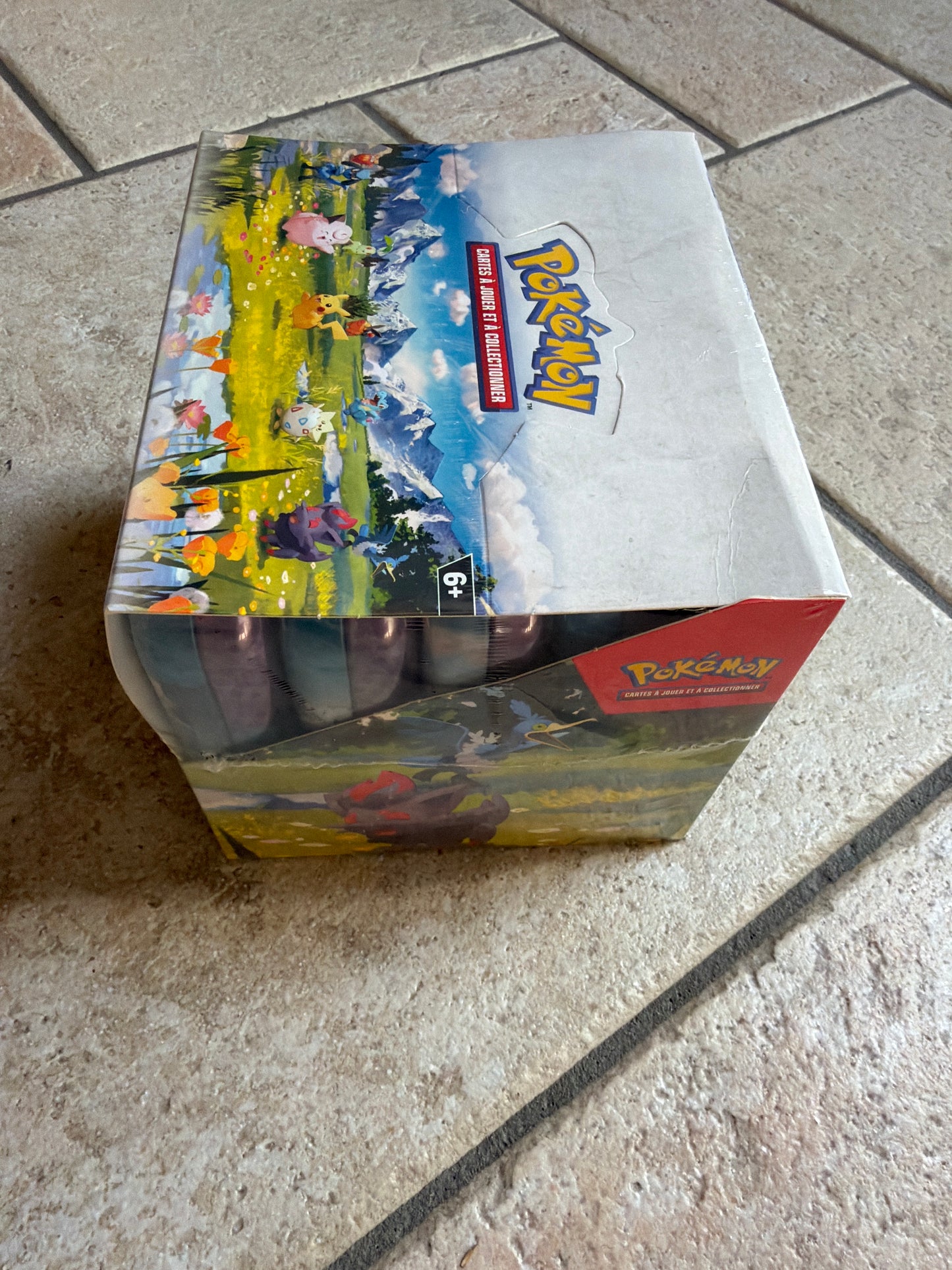 Display Mini Tin Mega-Evolution FR (SEALED)