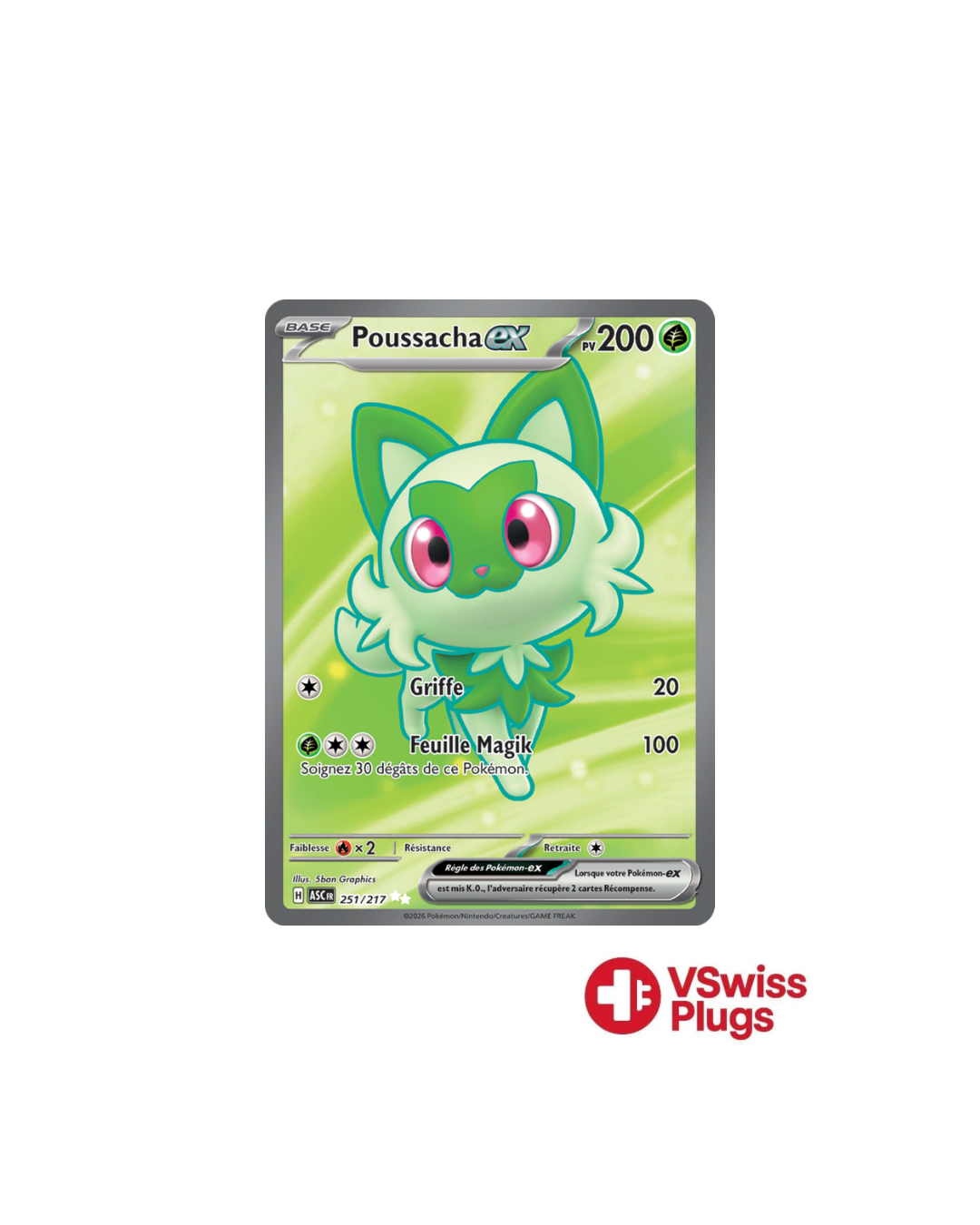 Poussacha 251/217 FR