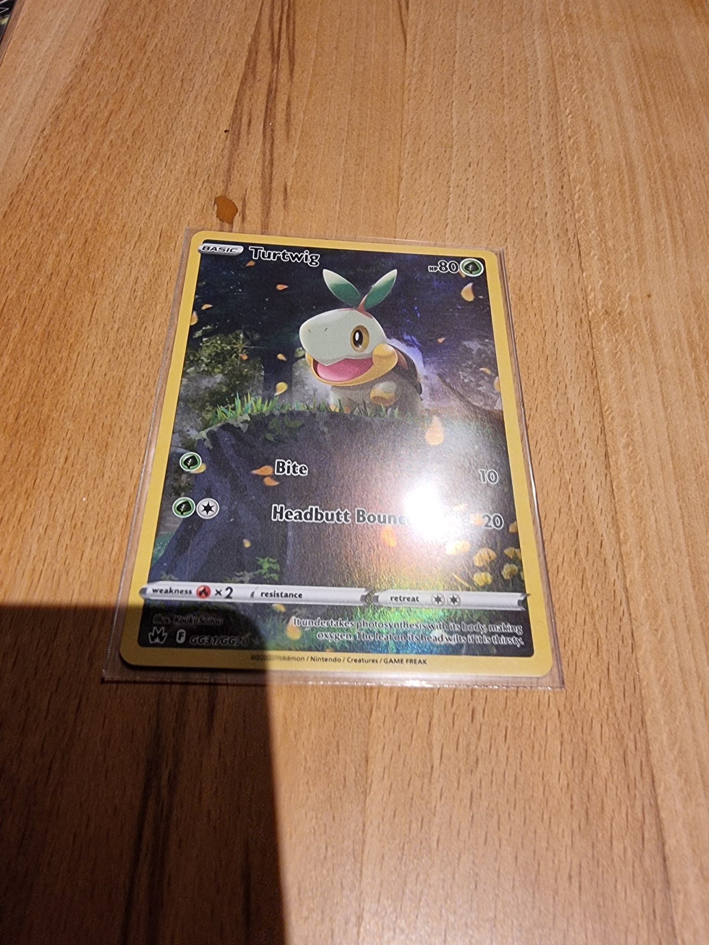 Turtwig GG31/GG70 EN