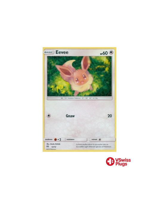 Eevee 12/12 (2019) EN