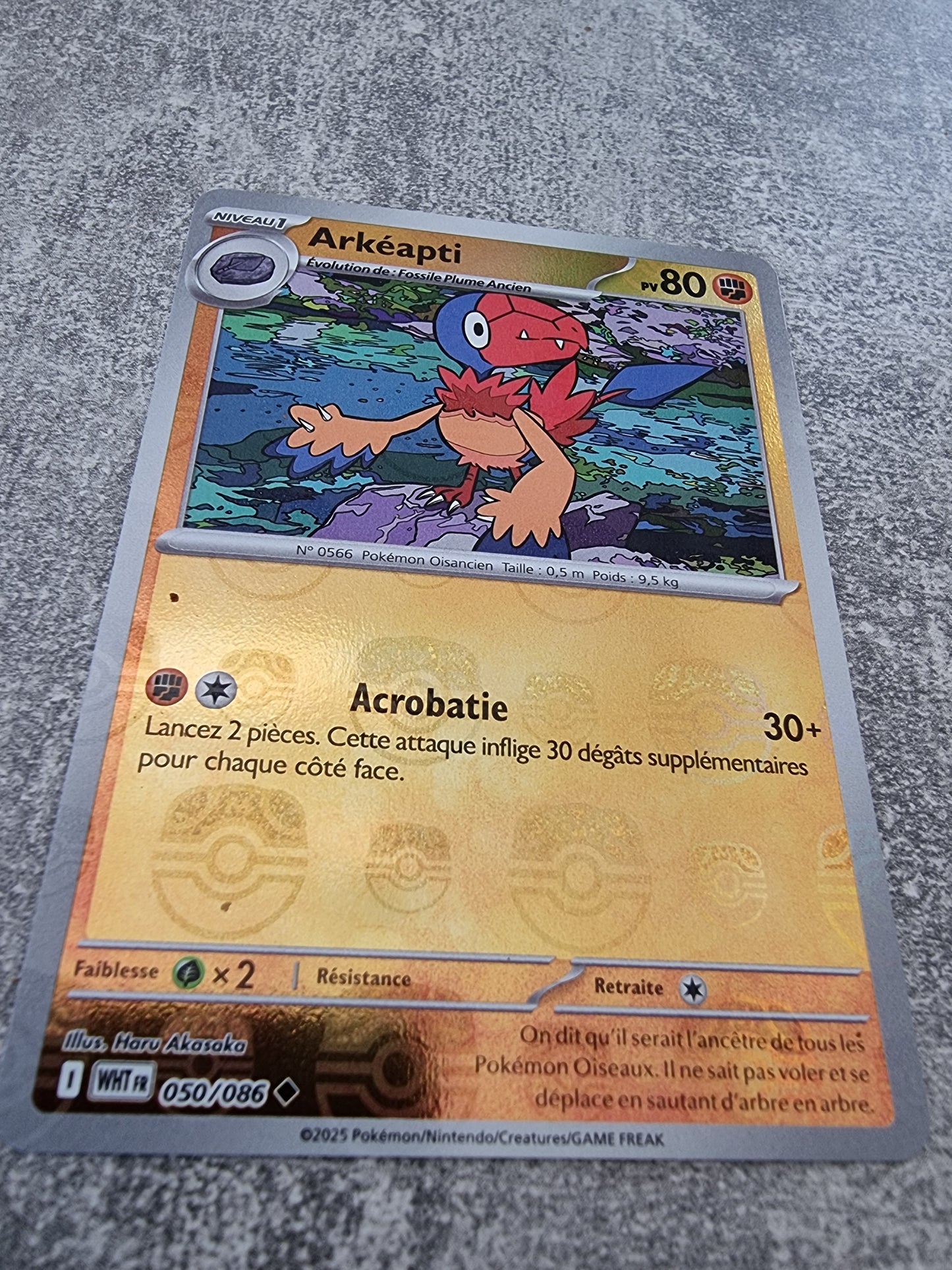 Arkéapti MASTERBALL 050/086 (Flamme Blanche) FR