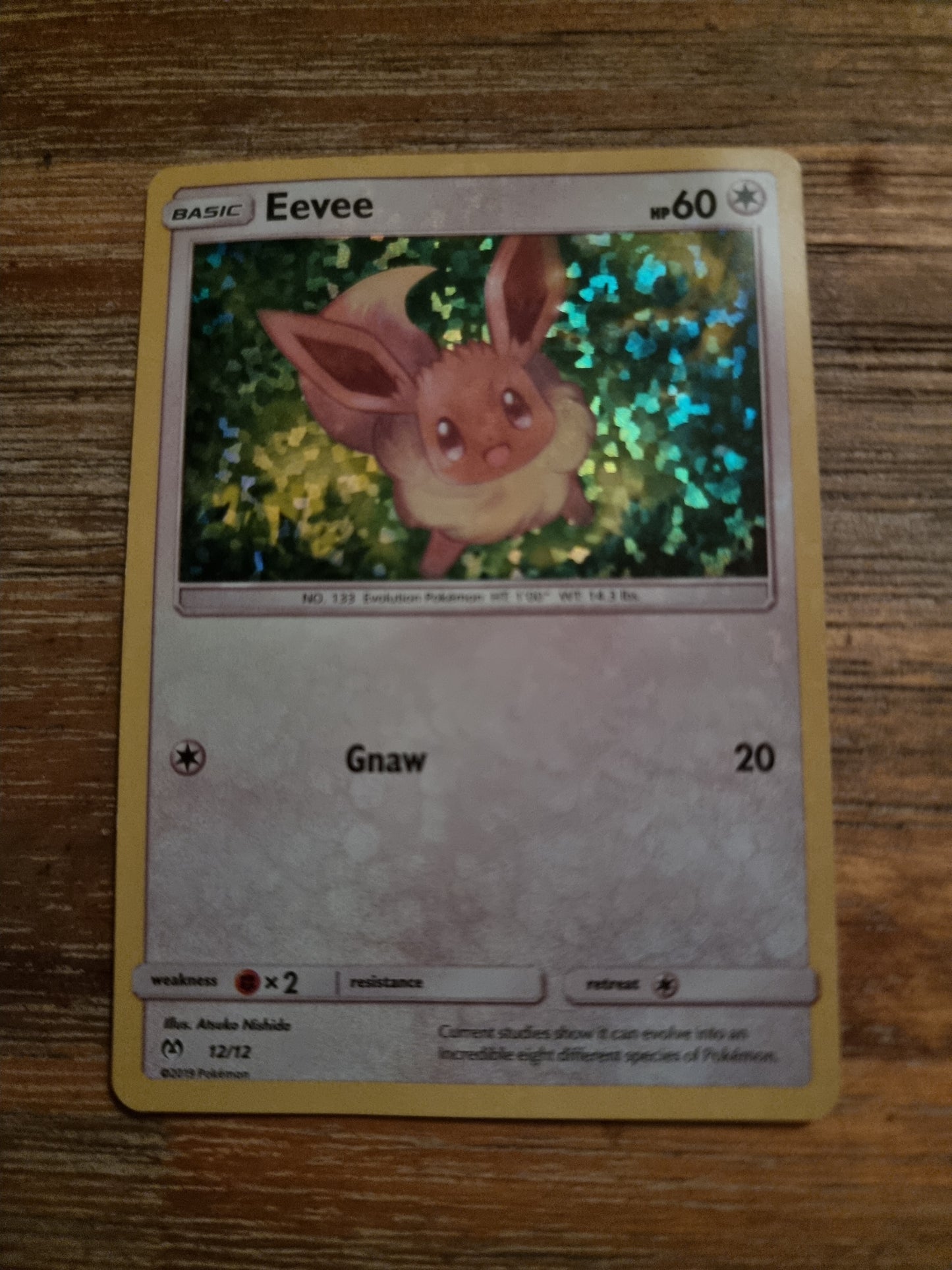 Eevee 12/12 (2019) EN