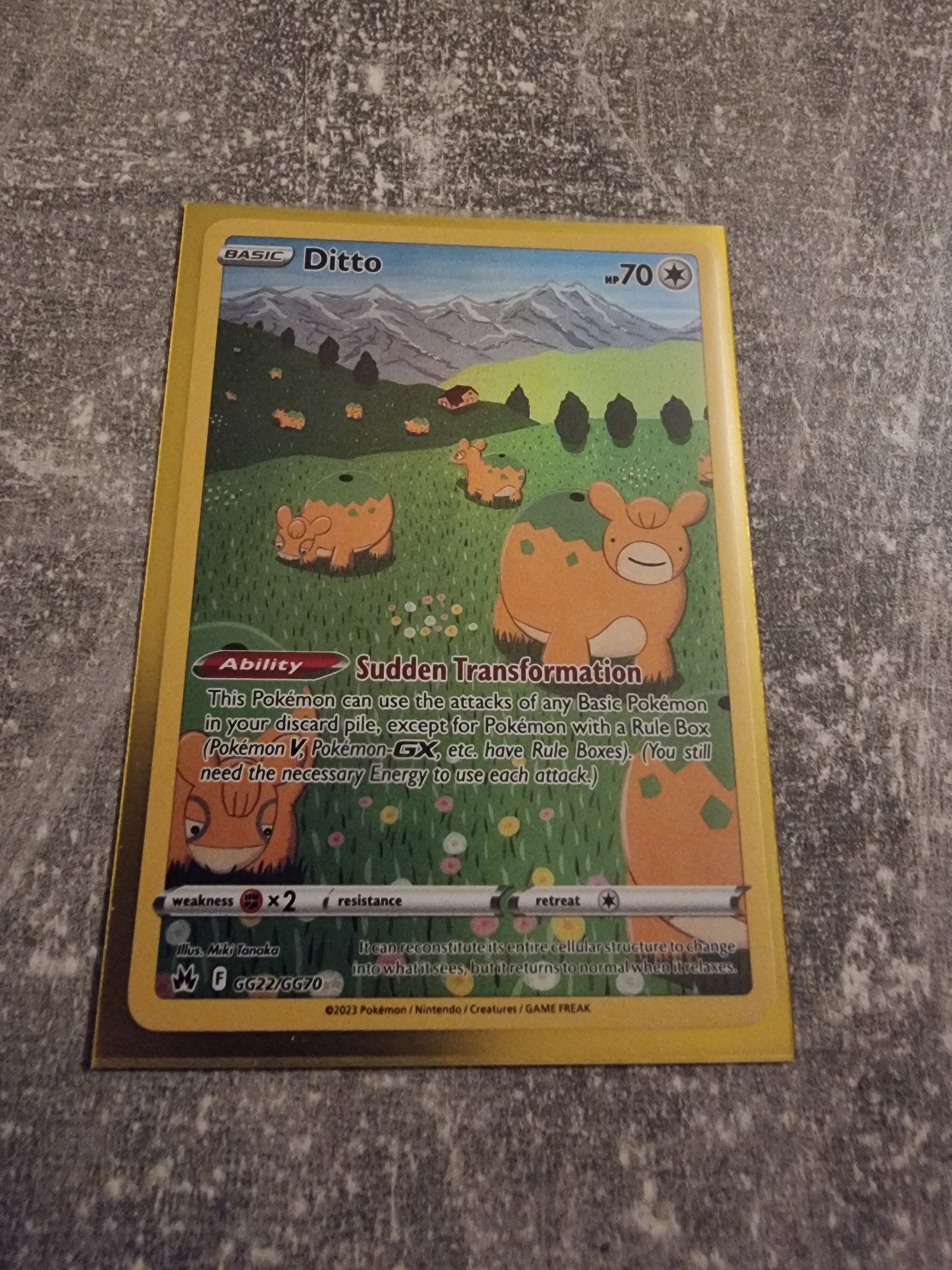Ditto GG22/GG70 EN