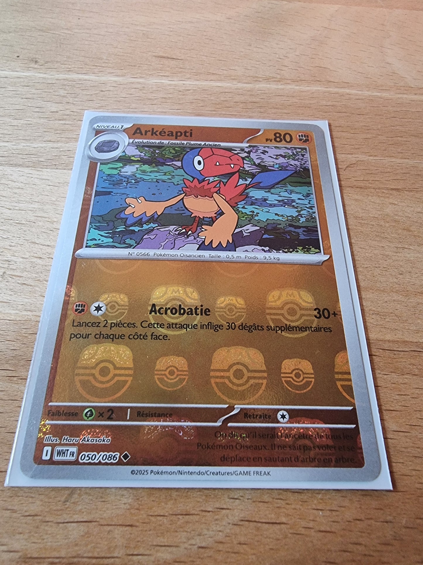 Arkéapti 050/086 MASTER BALL (Flamme Blanche) FR